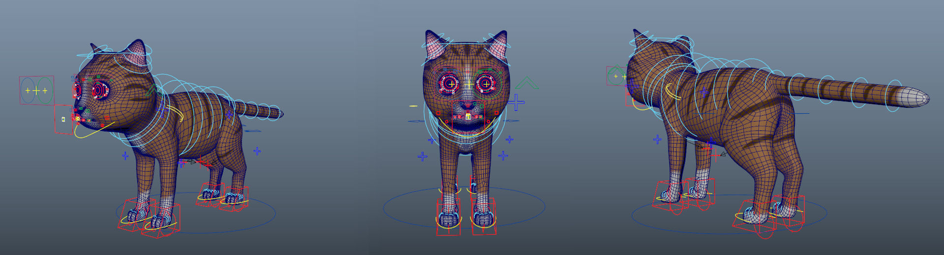 Cartoon Cat 3D model_7
