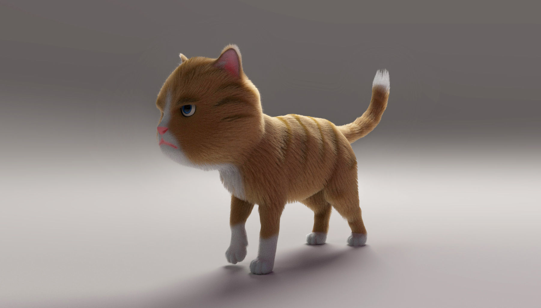 Cartoon Cat 3D model_2