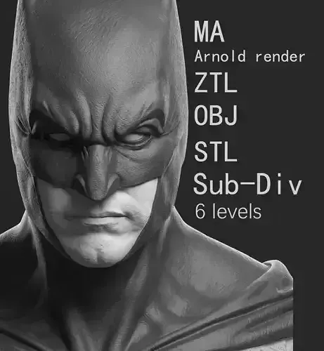Fan Art  - Batman 3D print model 3D print model