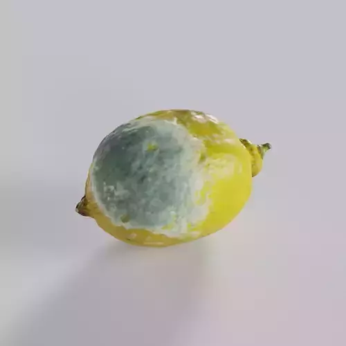 Moldy lemon