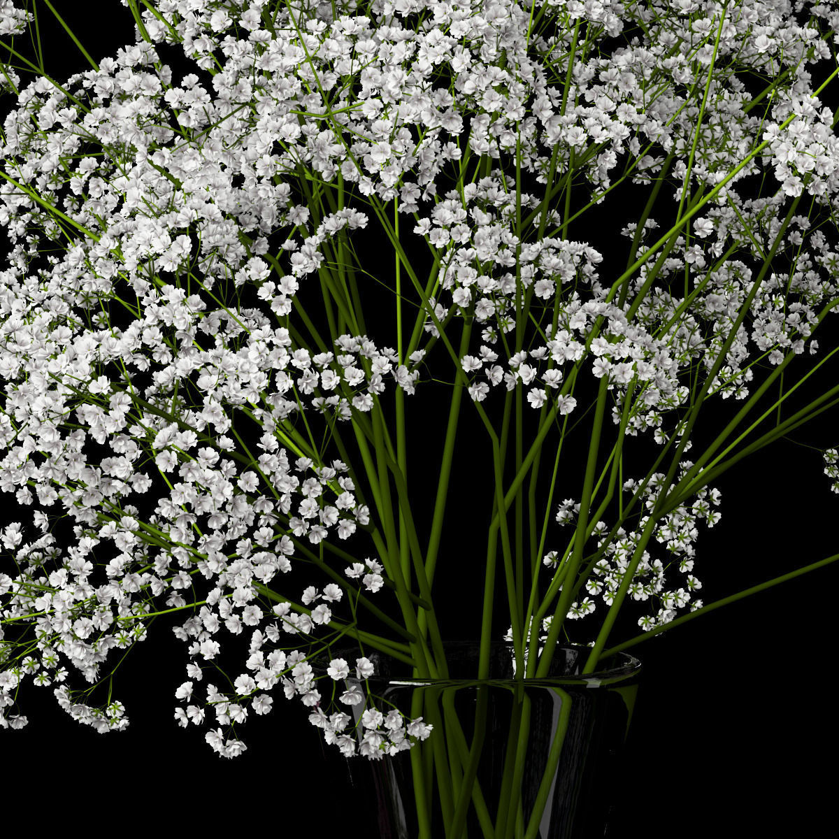 Dry bouquets 3D model_1