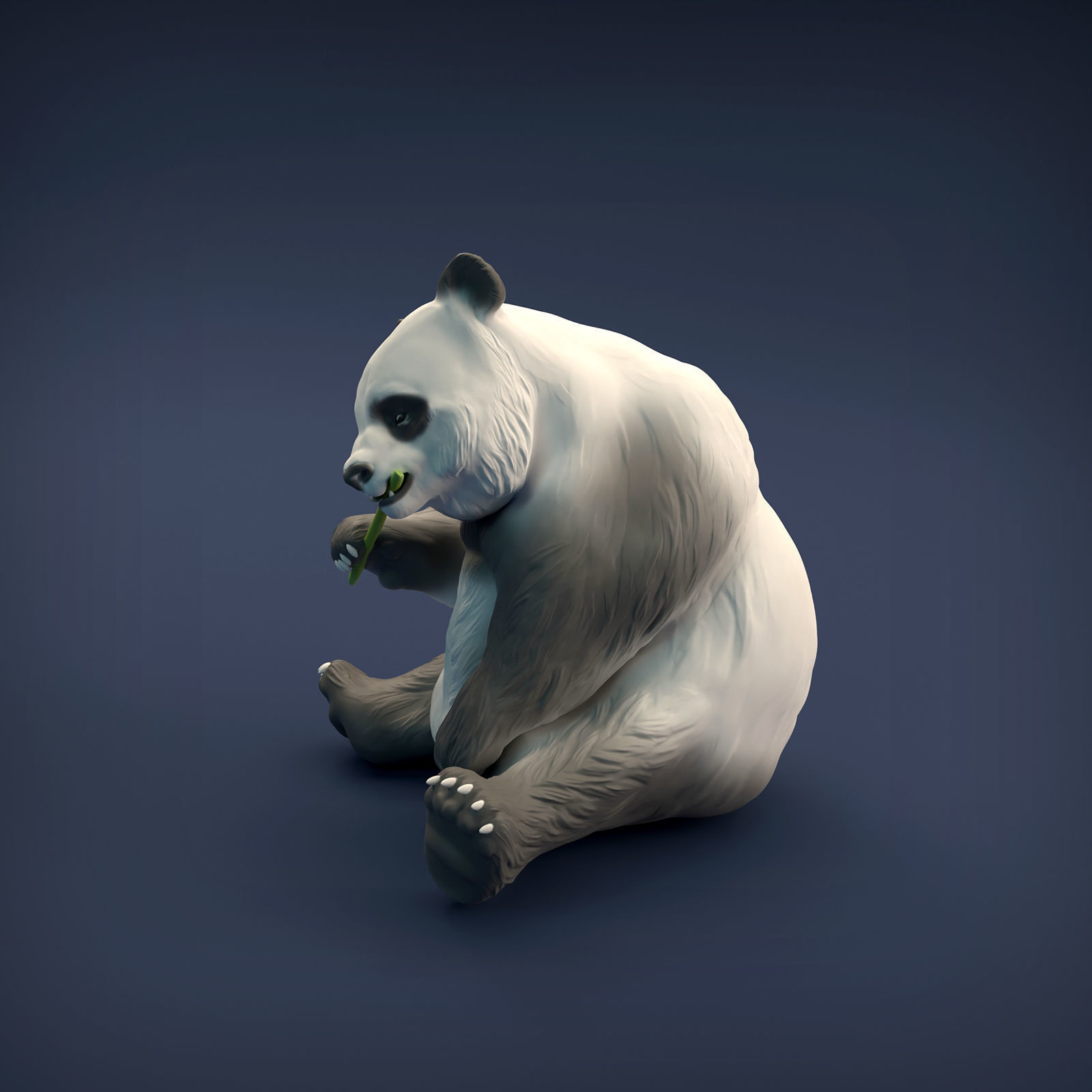 Giant Panda for 3D printing 3D print model_3