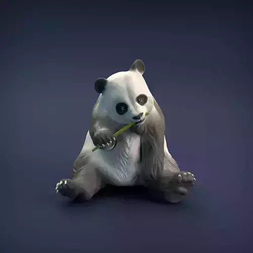 Giant Panda for 3D printing 3D print model
