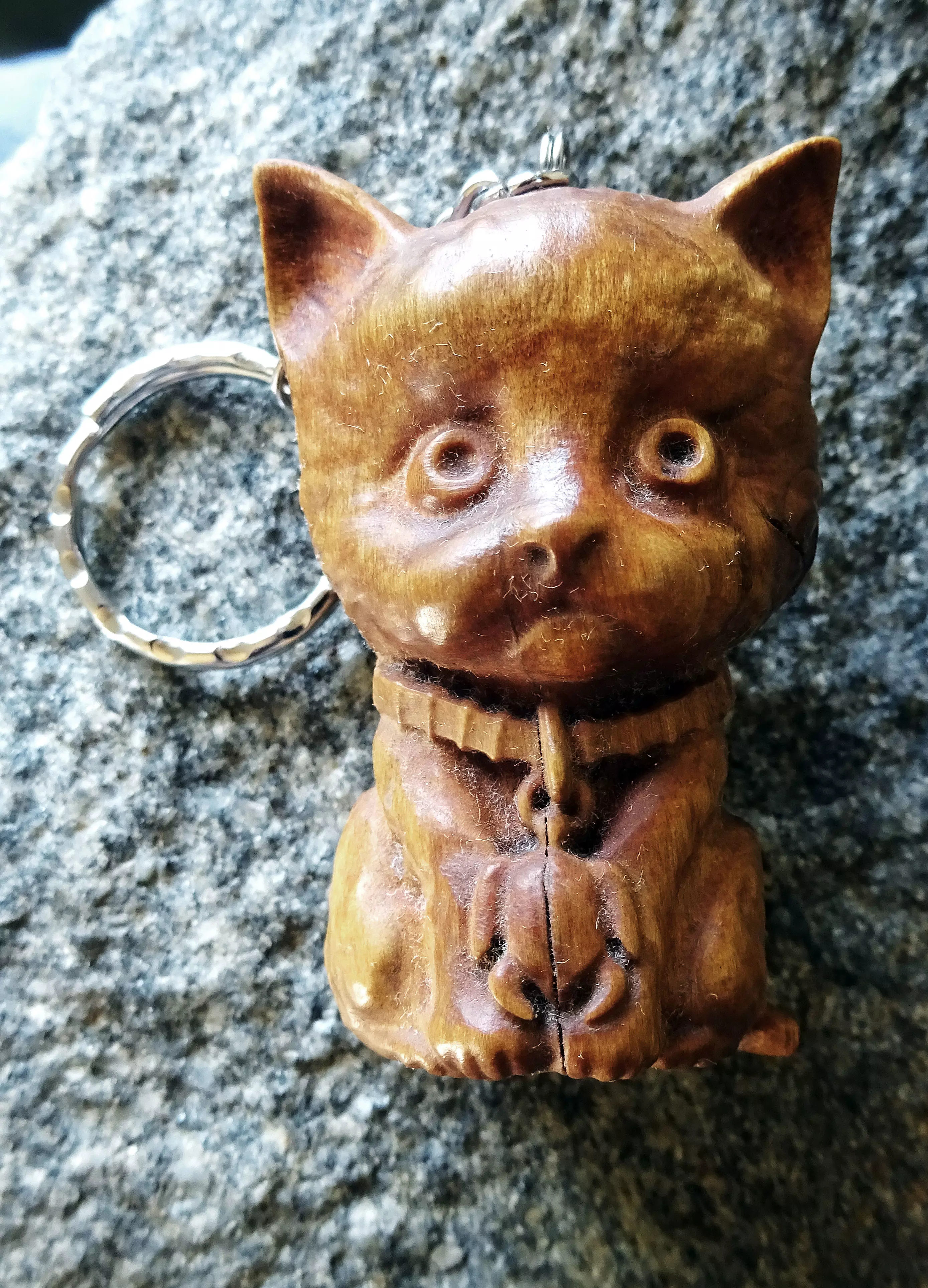 of a sad cat Free 3D model