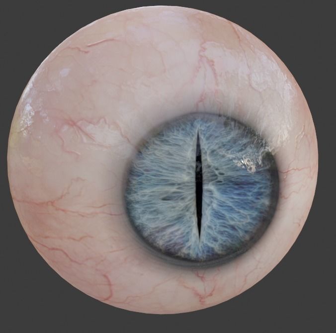 Realistic eye for Eevee  Low-poly 3D model_2