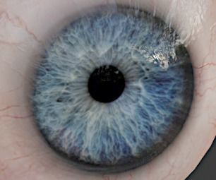 Realistic eye for Eevee  Low-poly 3D model_6