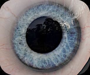 Realistic eye for Eevee  Low-poly 3D model_7