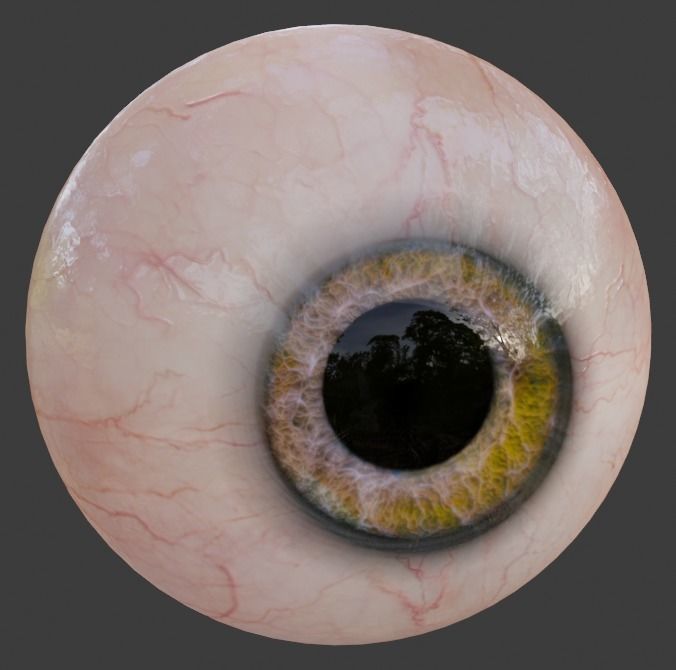 Realistic eye for Eevee  Low-poly 3D model_4