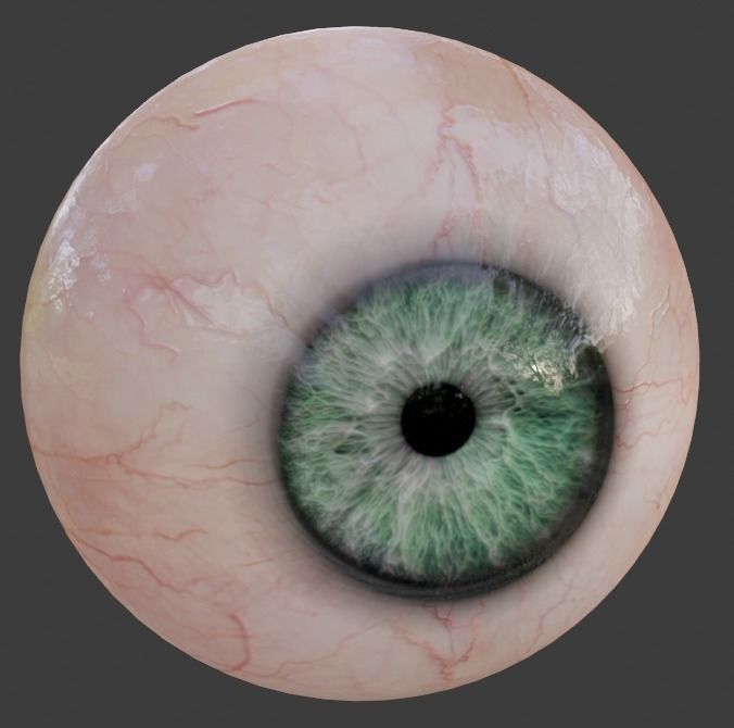 Realistic eye for Eevee  Low-poly 3D model_3