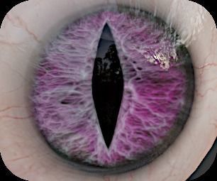 Realistic eye for Eevee  Low-poly 3D model_8