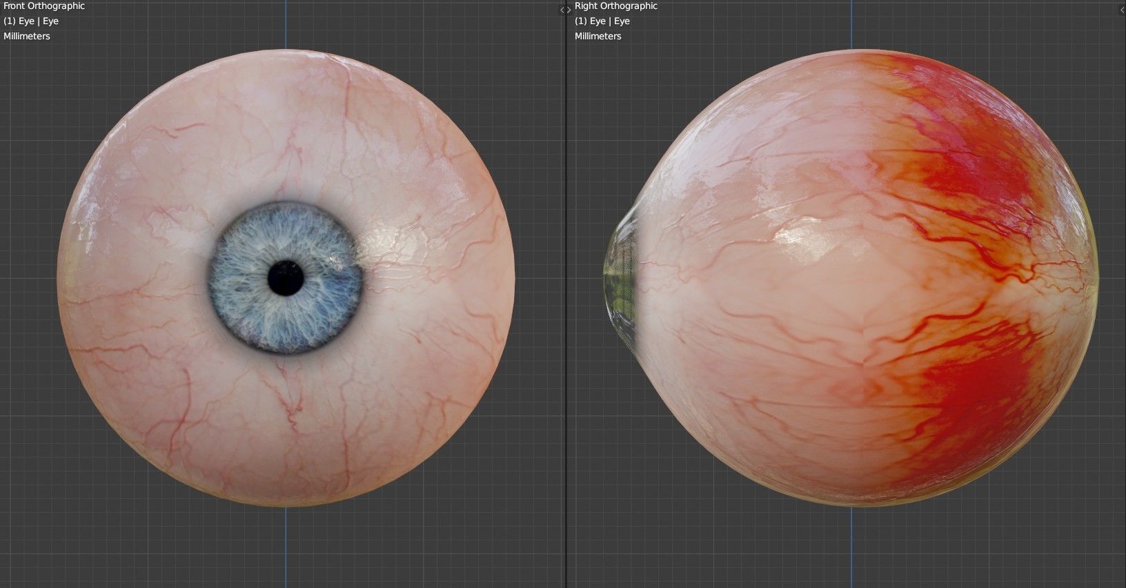 Realistic eye for Eevee  Low-poly 3D model_10