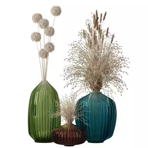 Decorative Dried Plants Vol 1