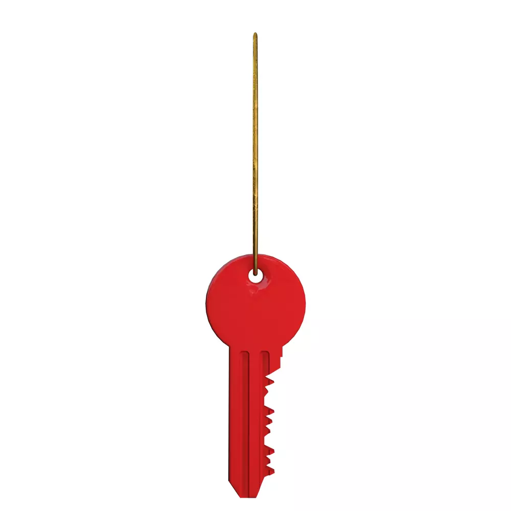 Door Key Free 3D model