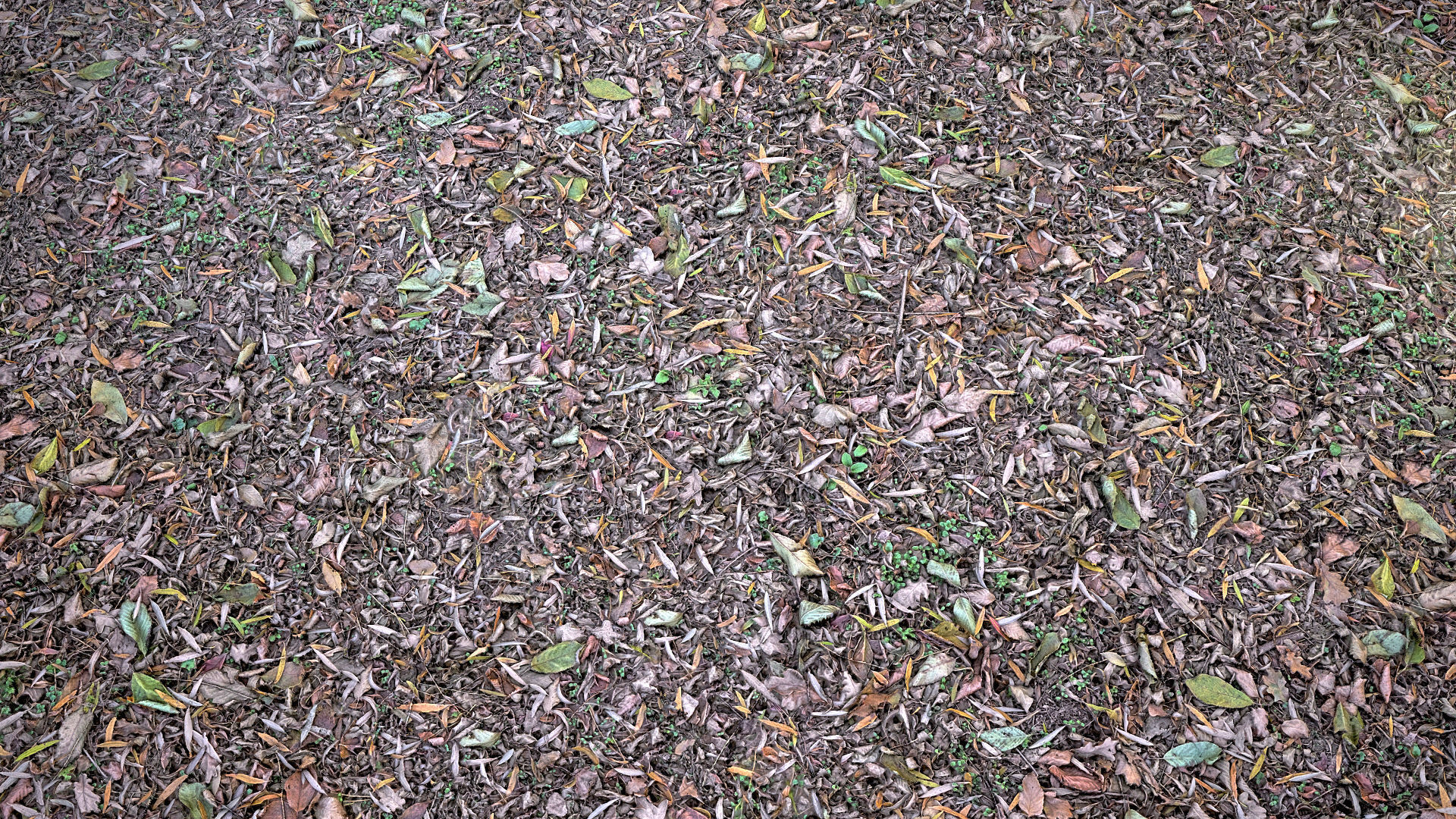 Mixed-Leves 01 Texture_2