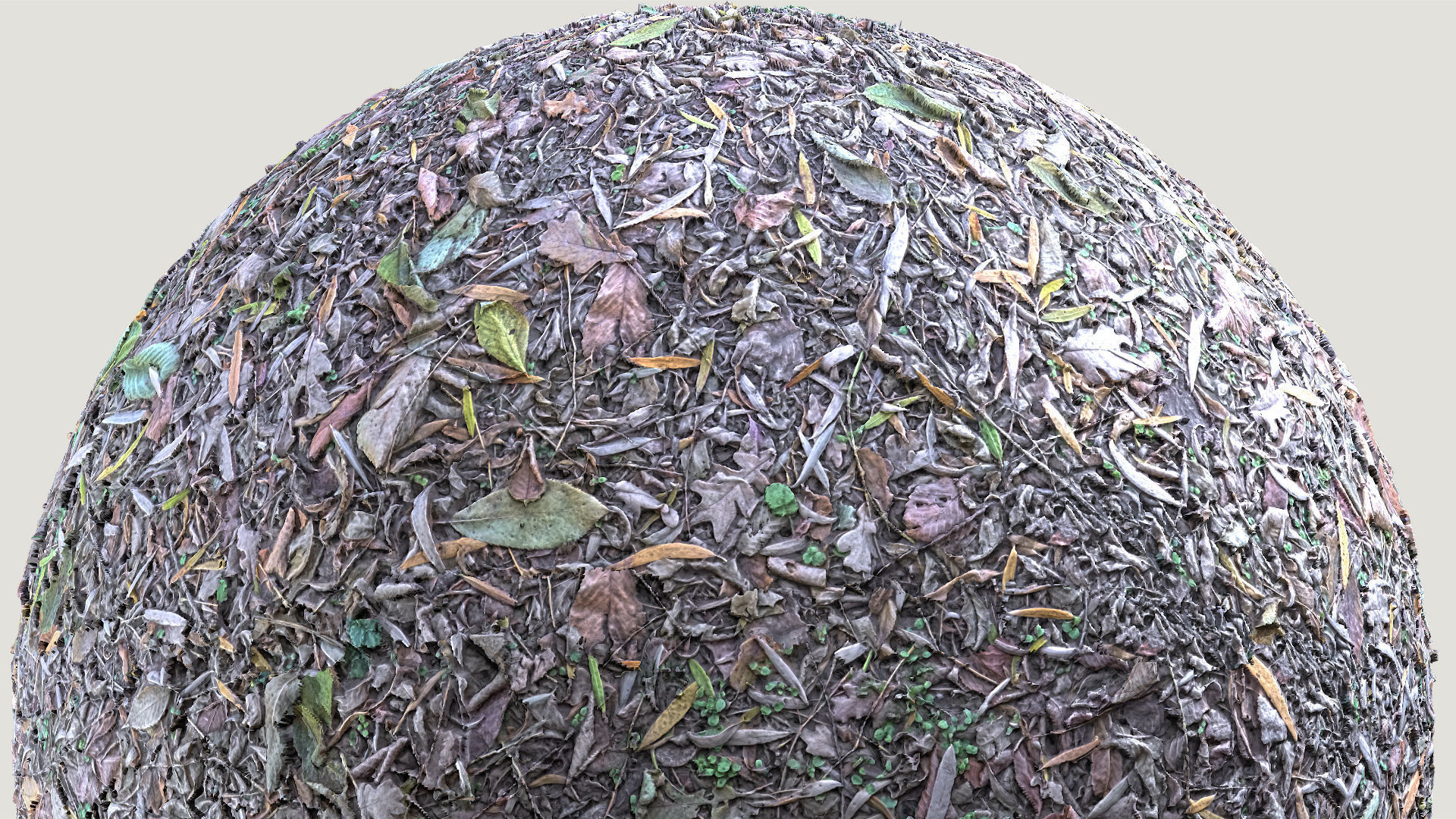 Mixed-Leves 01 Texture_4