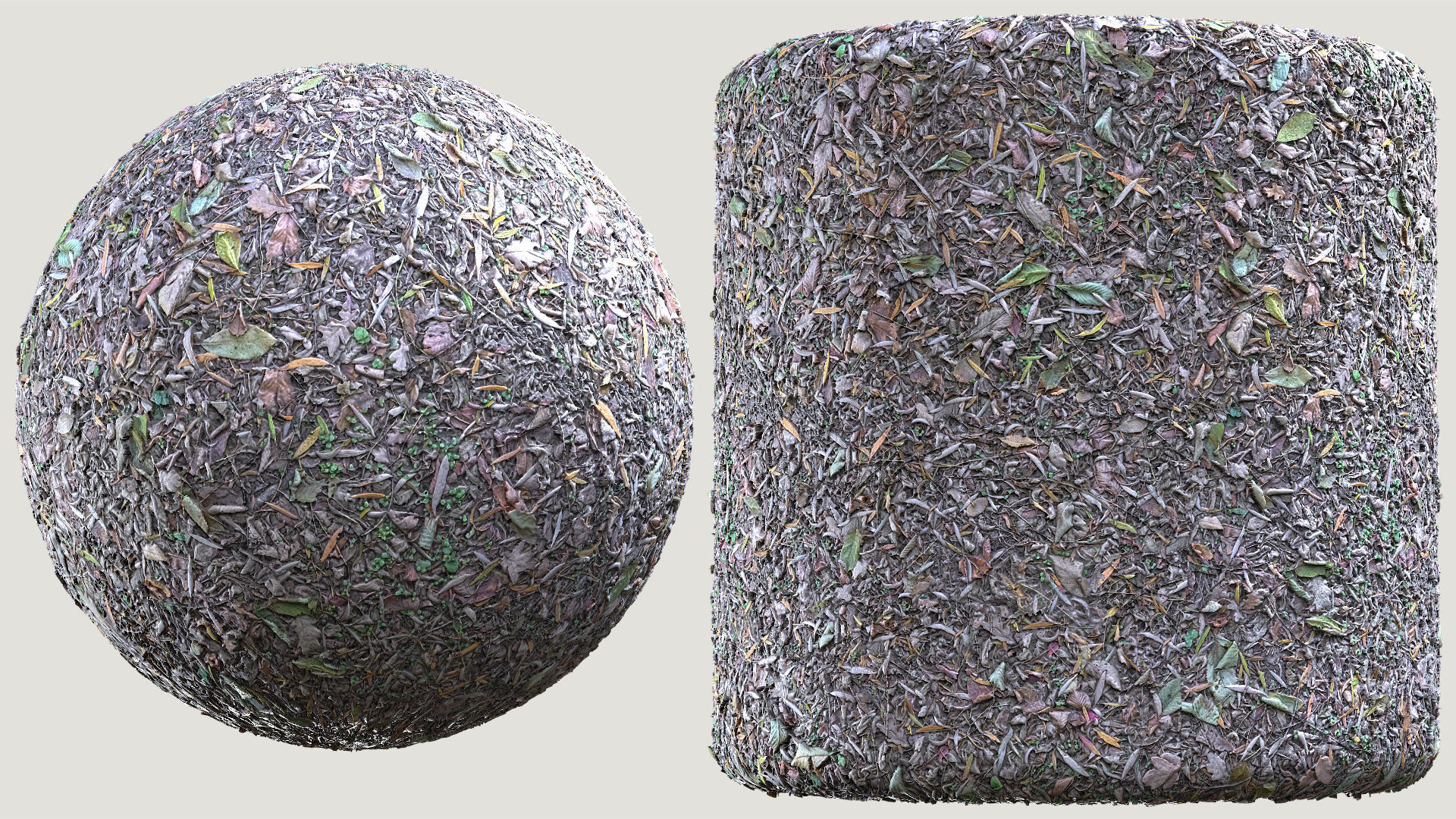 Mixed-Leves 01 Texture_1