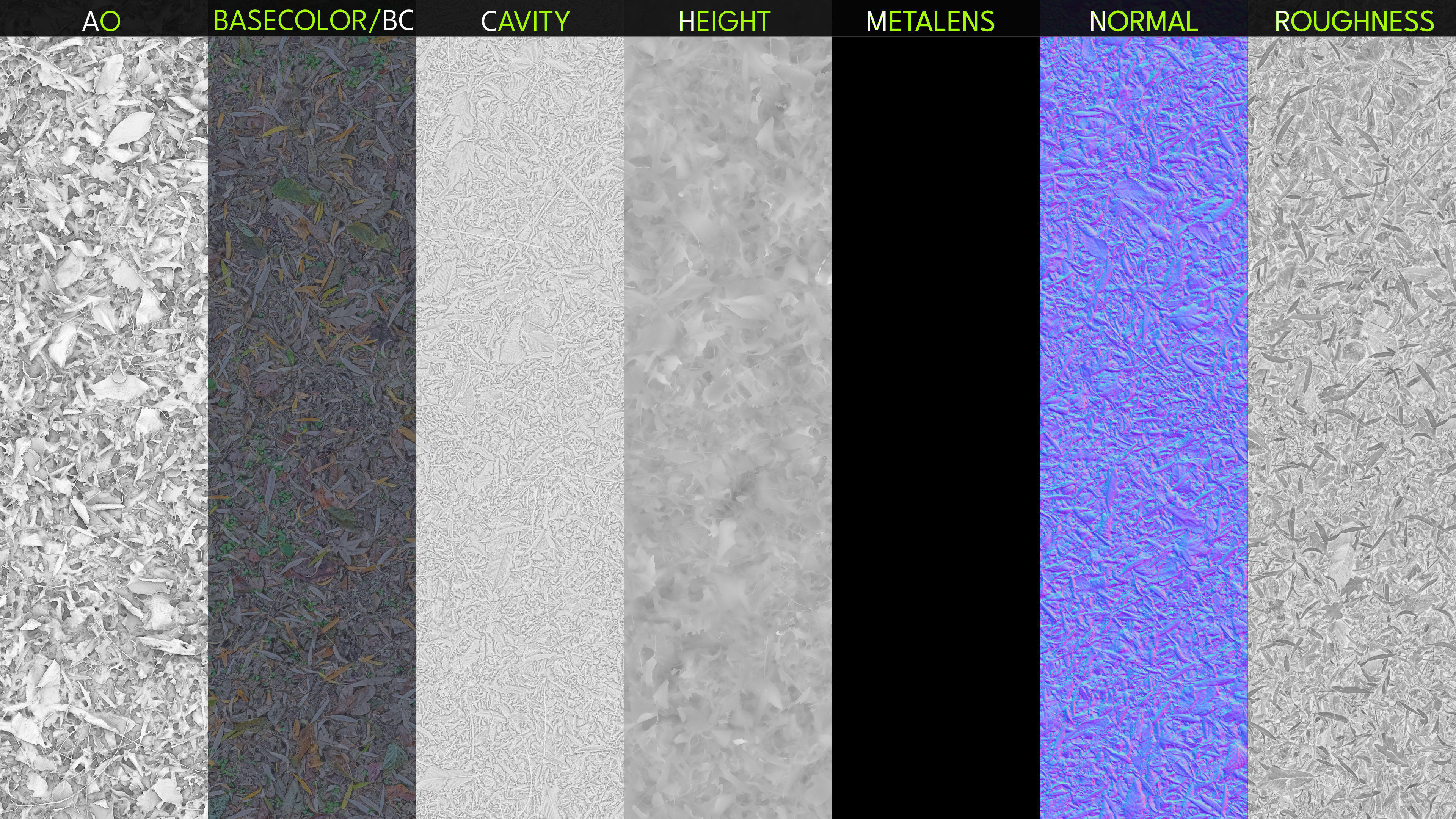 Mixed-Leves 01 Texture_3