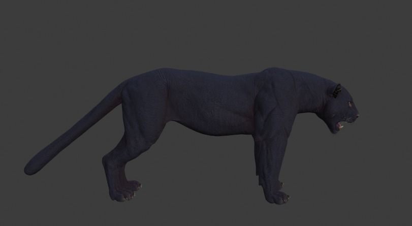 Black panther 3D model_7