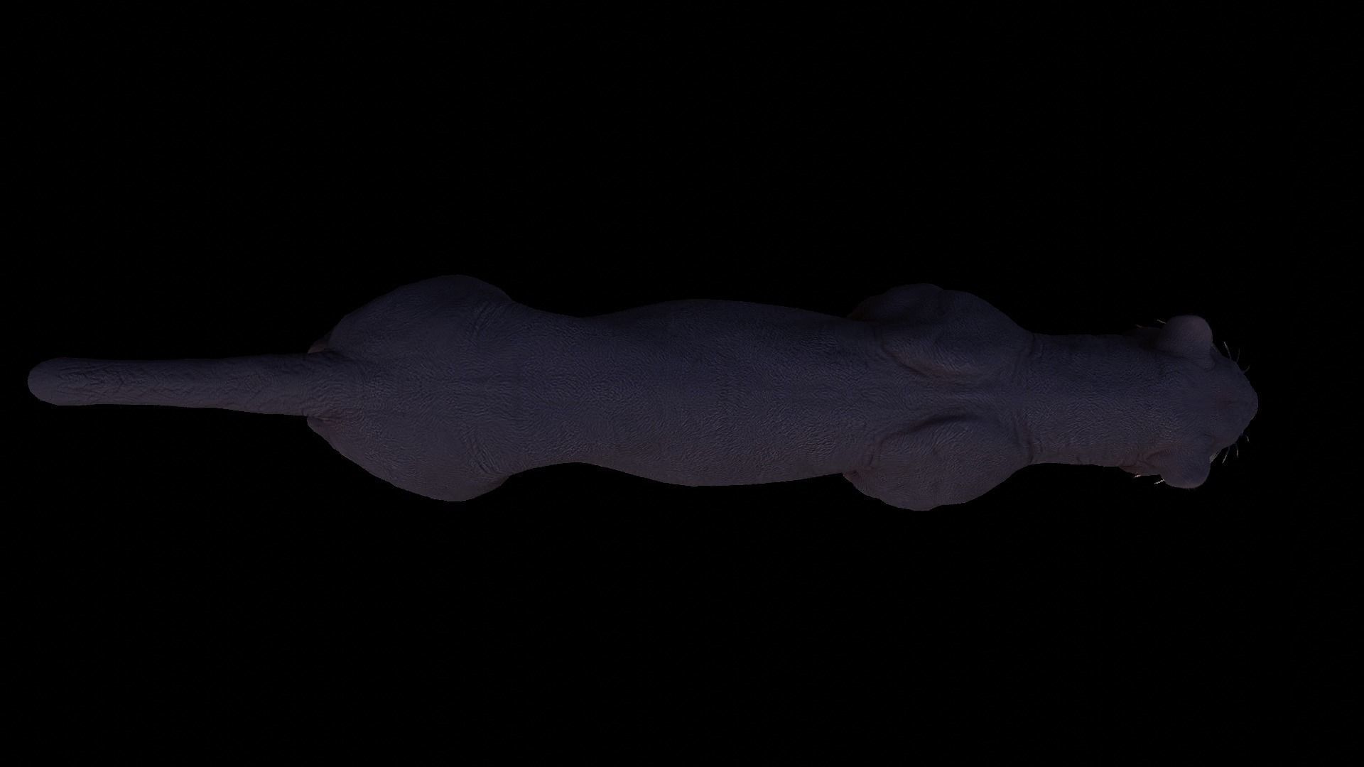 Black panther 3D model_5