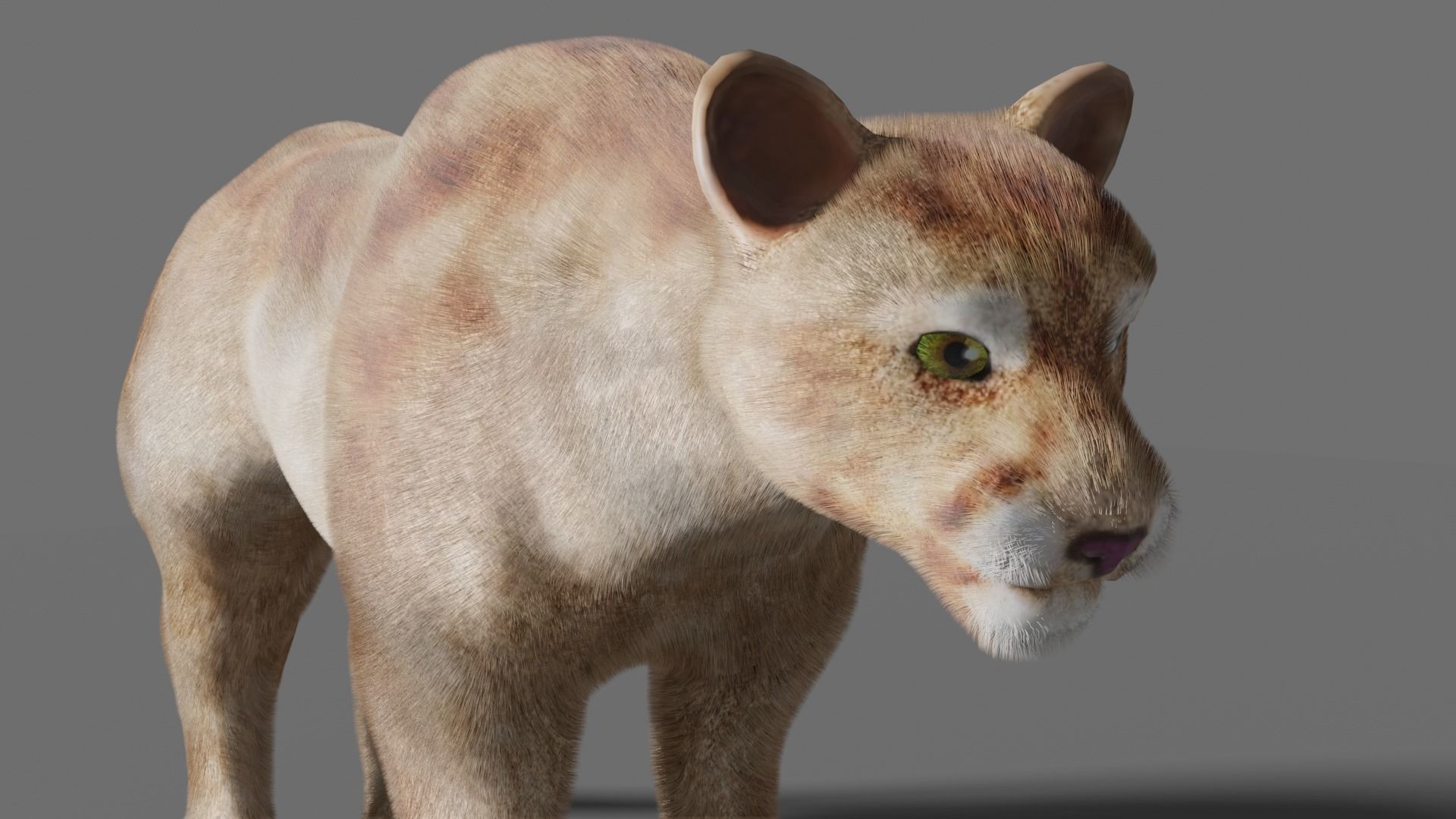 puma 3d lion 3D model_17