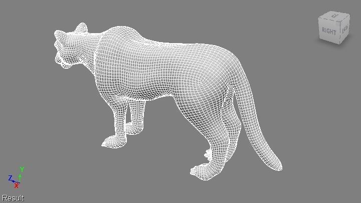 puma 3d lion 3D model_22