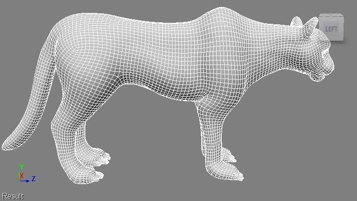 puma 3d lion 3D model_5
