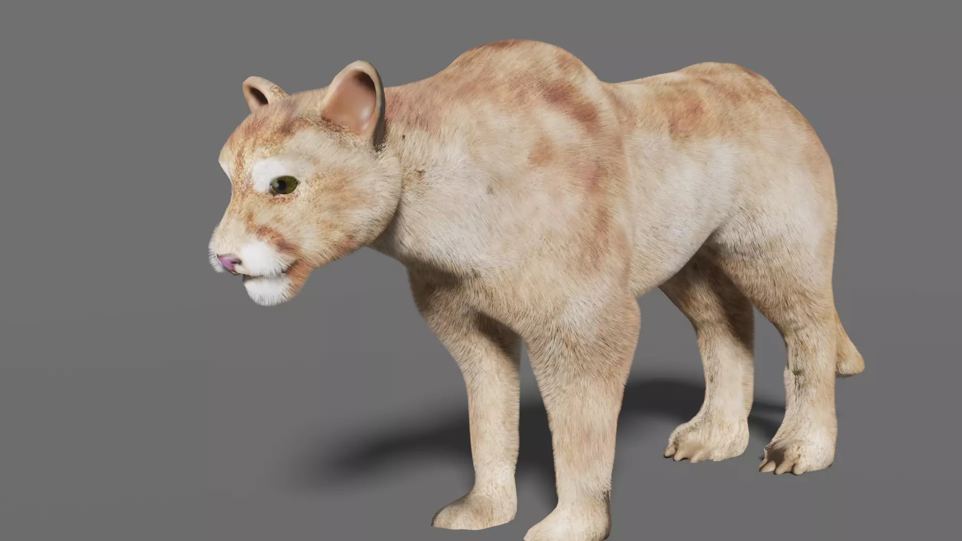 puma 3d lion 3D model_0