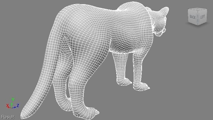 puma 3d lion 3D model_7