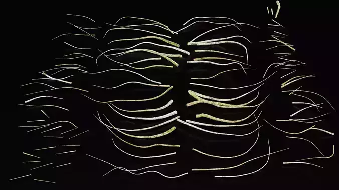 107 Different sticks collection