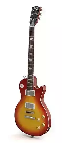 Gibson Les Paul Guitar