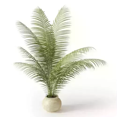 White Clay Potted Fern