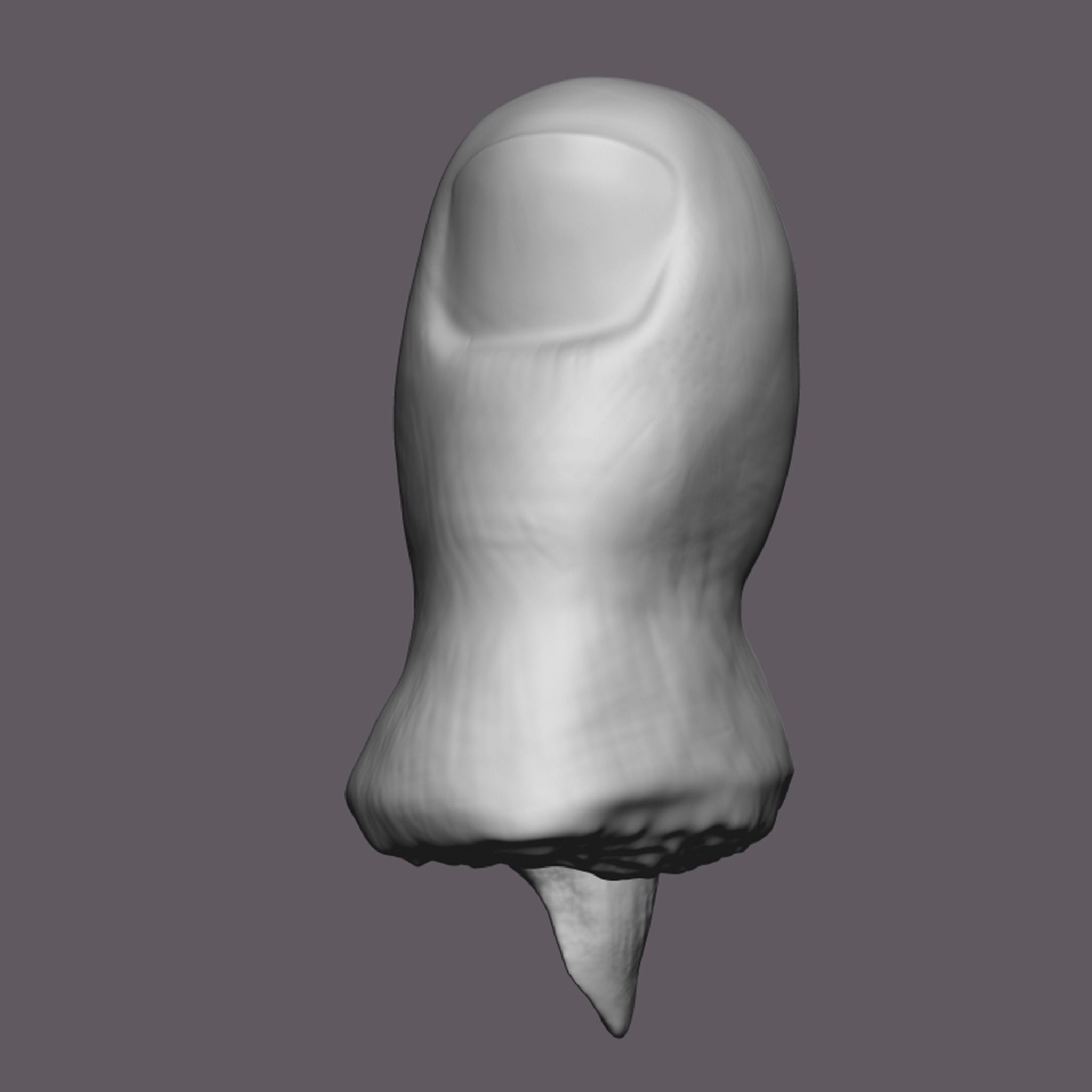 Severed Toe 3D Print Model 3D print model_6