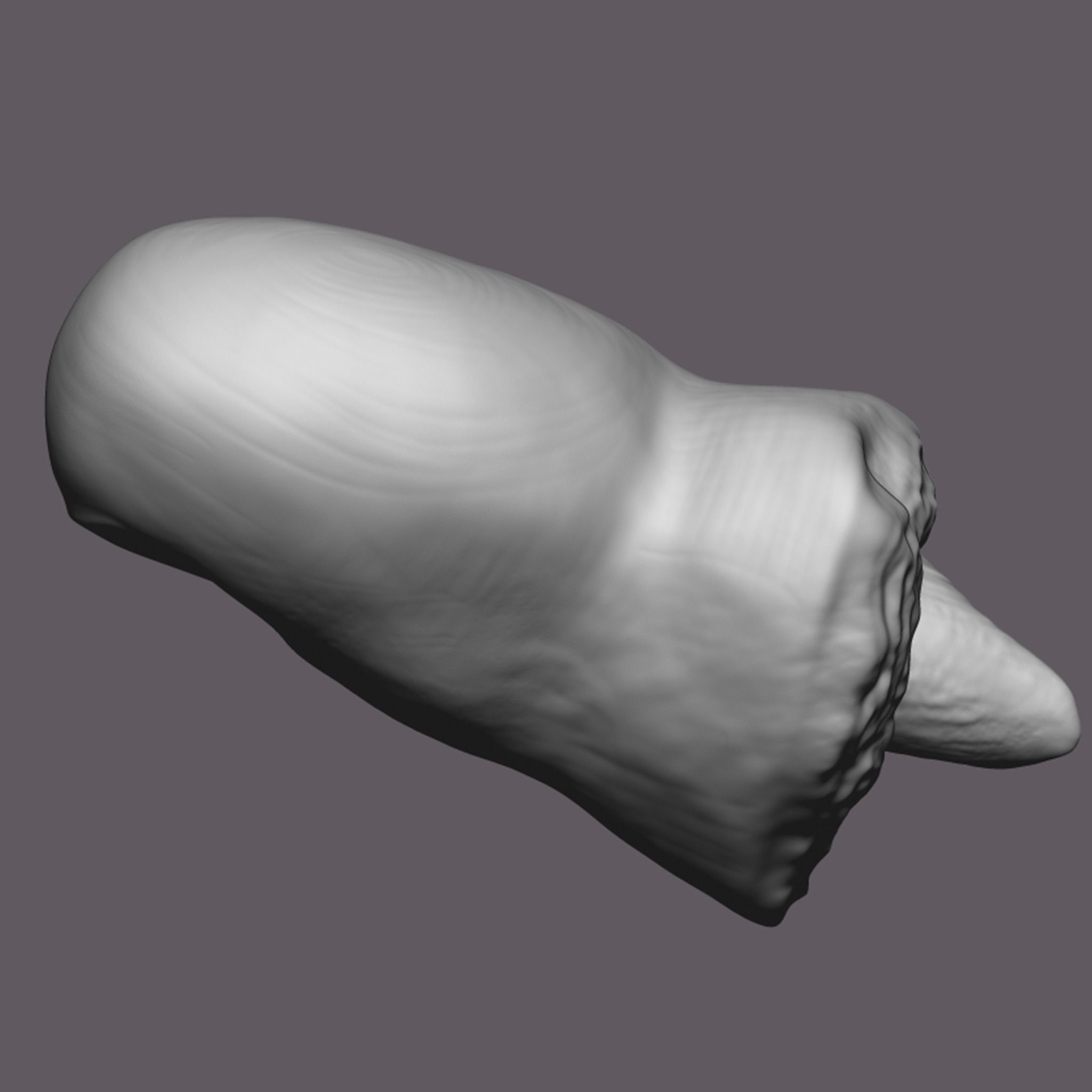 Severed Toe 3D Print Model 3D print model_8