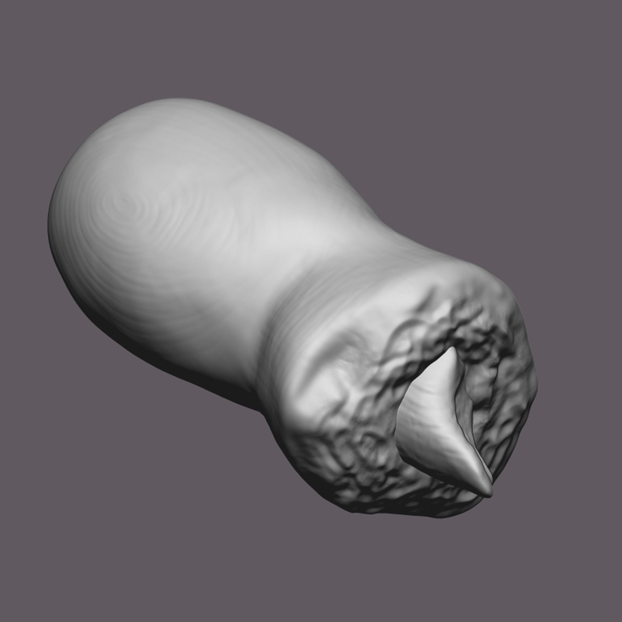 Severed Toe 3D Print Model 3D print model_7