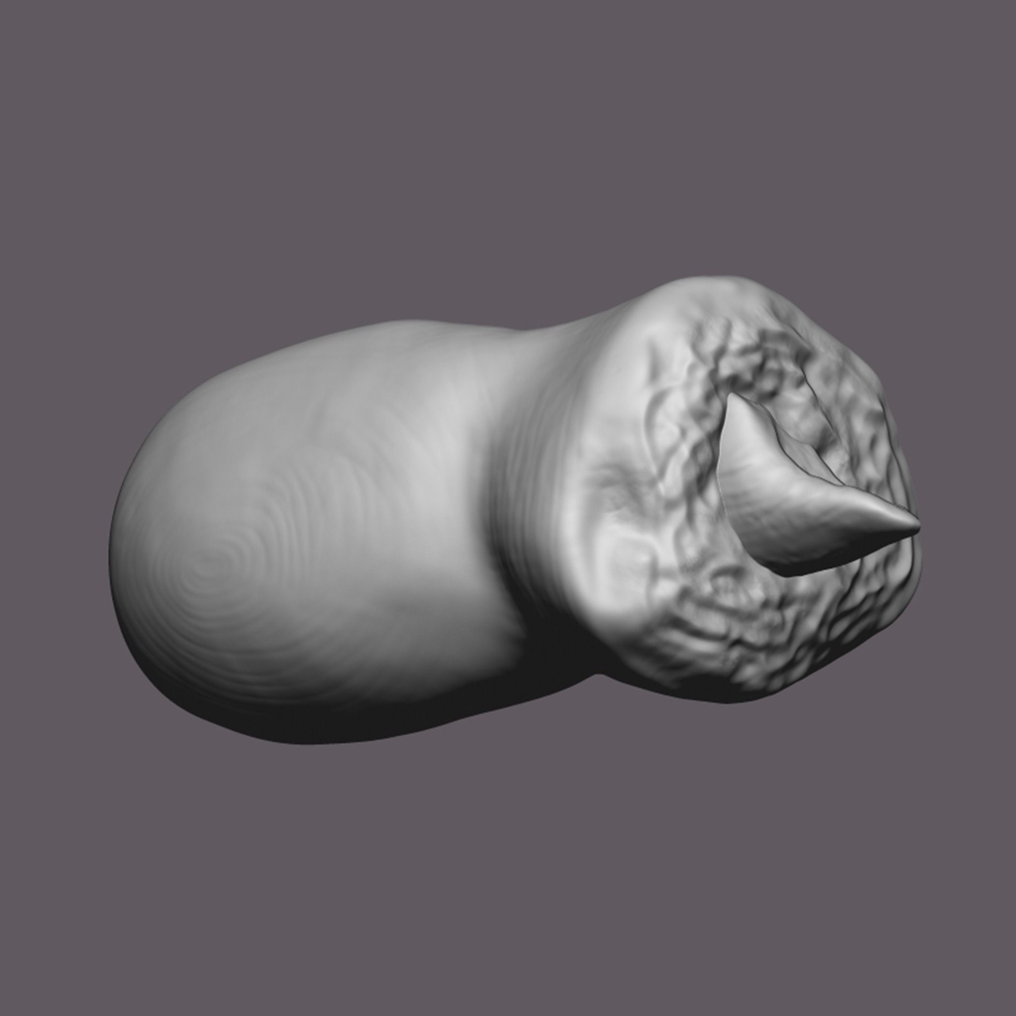 Severed Toe 3D Print Model 3D print model_14