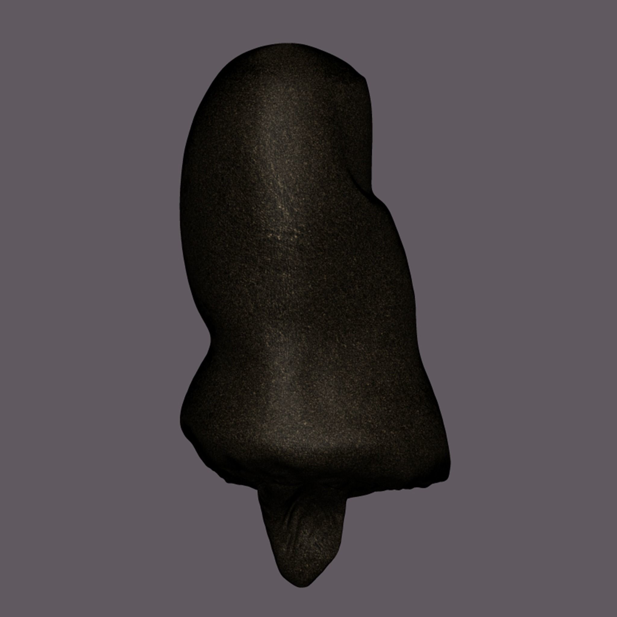 Severed Toe 3D Print Model 3D print model_3