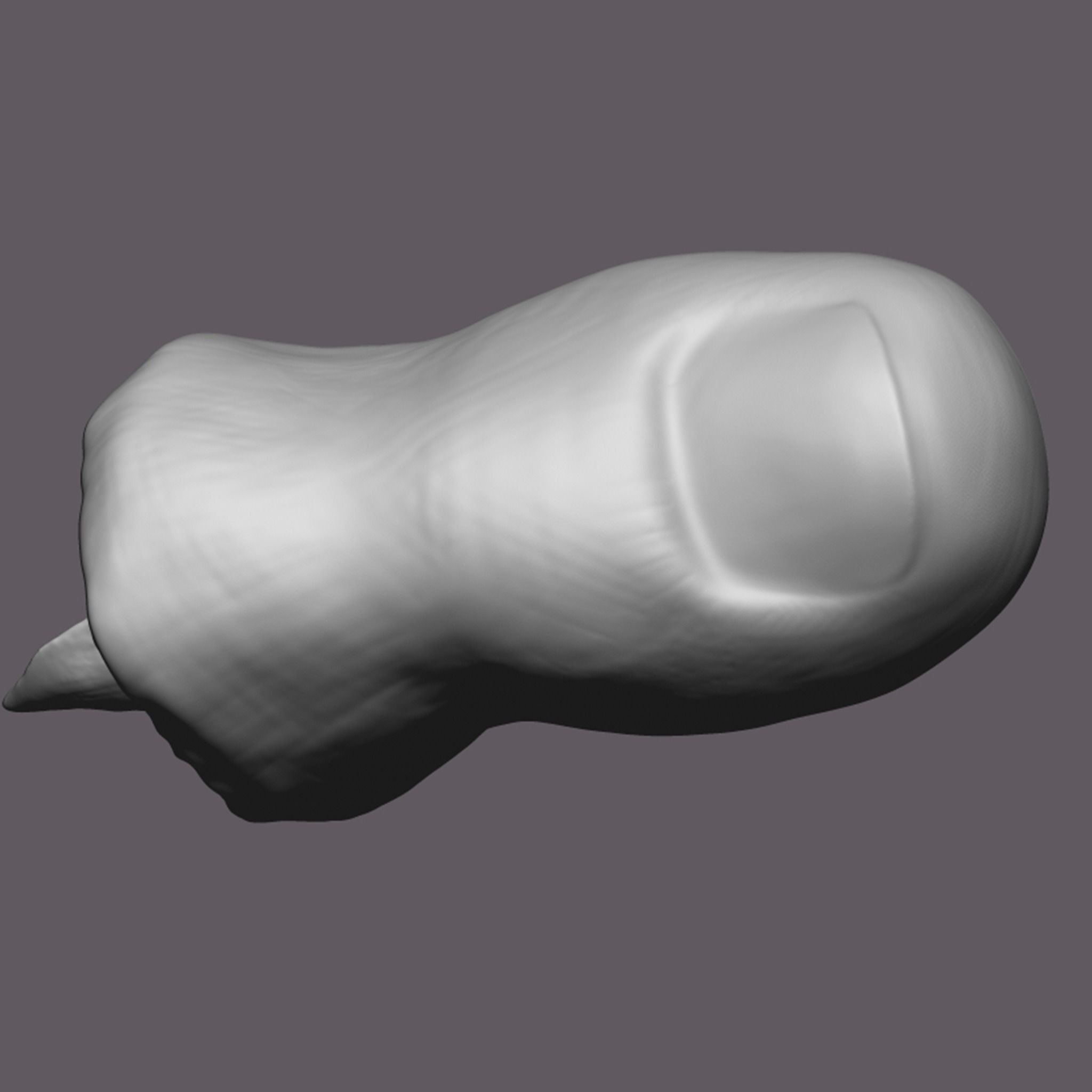 Severed Toe 3D Print Model 3D print model_9