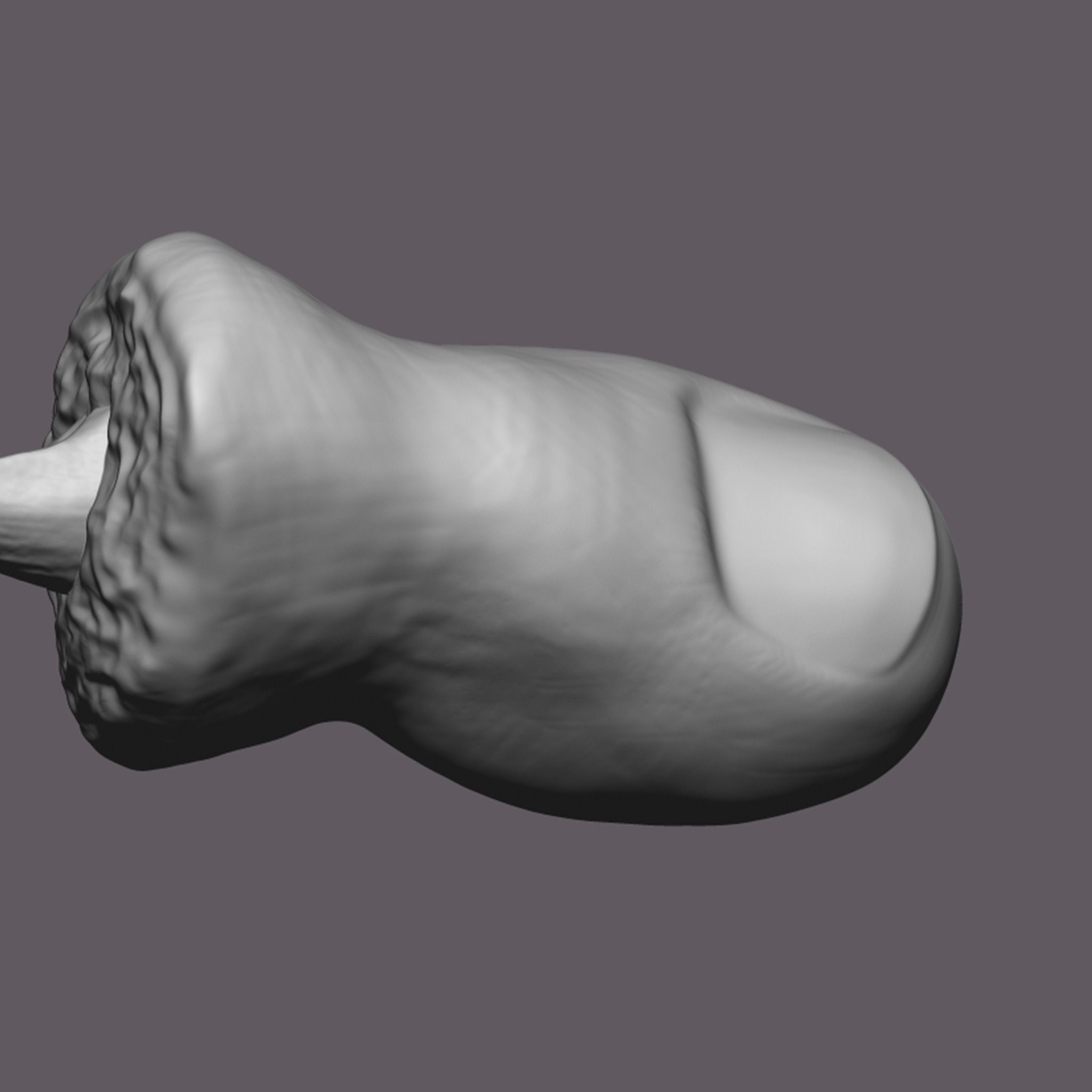 Severed Toe 3D Print Model 3D print model_12