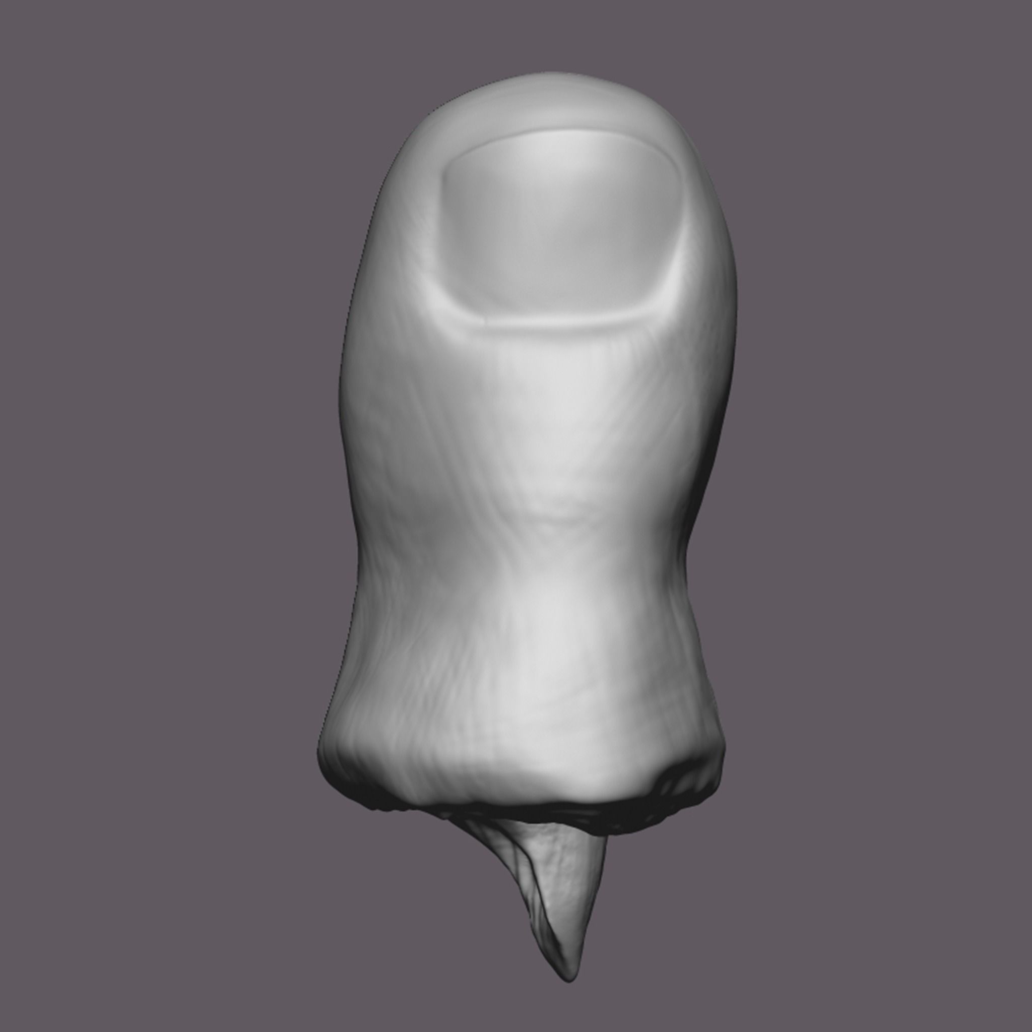 Severed Toe 3D Print Model 3D print model_16