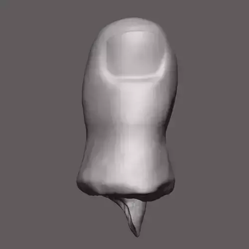 Severed Toe 3D Print Model 3D print model
