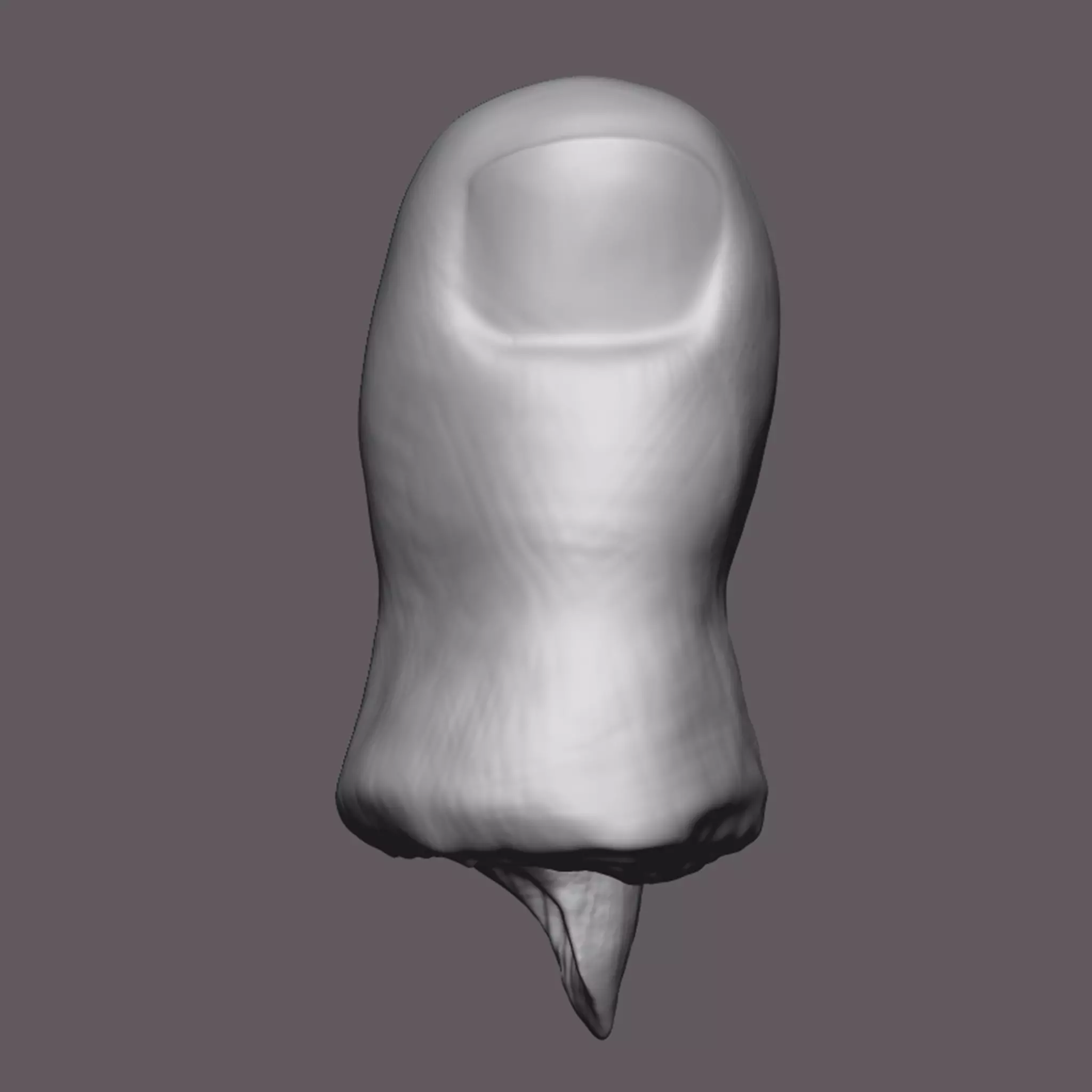 Severed Toe 3D Print Model 3D print model_0
