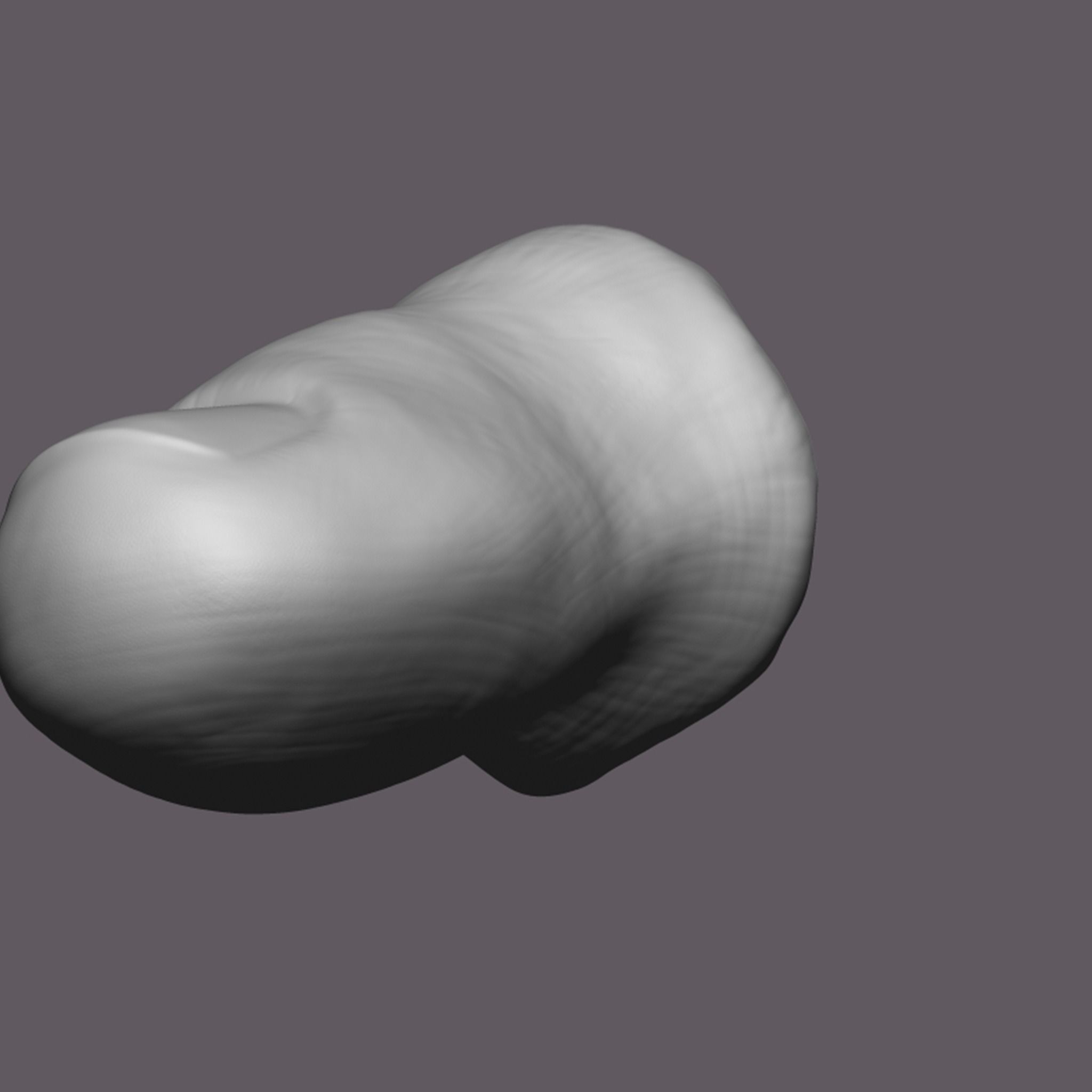 Severed Toe 3D Print Model 3D print model_10