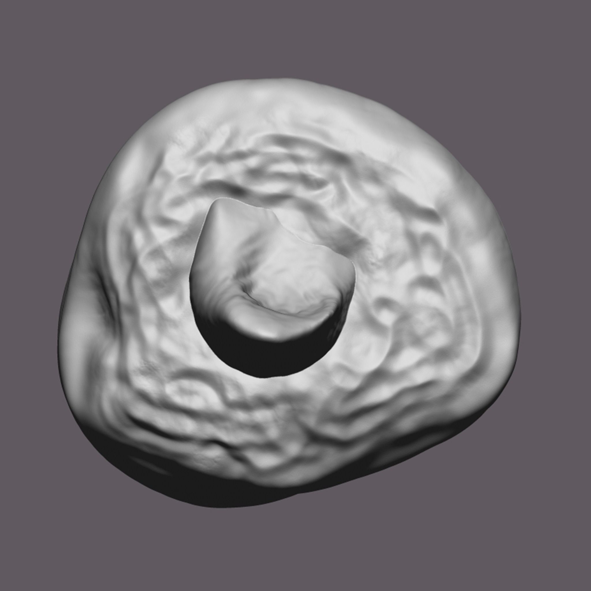 Severed Toe 3D Print Model 3D print model_13