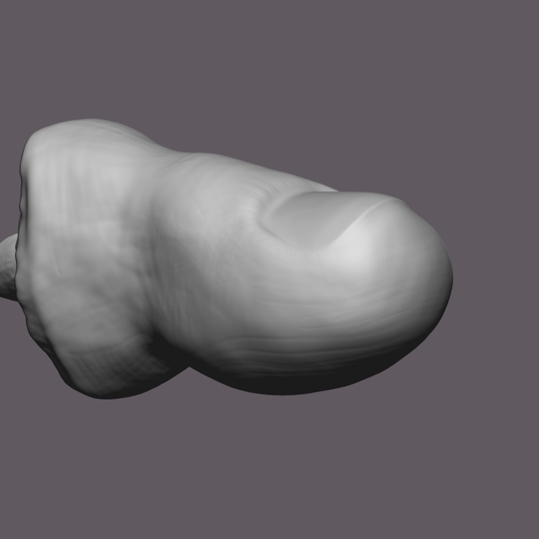 Severed Toe 3D Print Model 3D print model_11