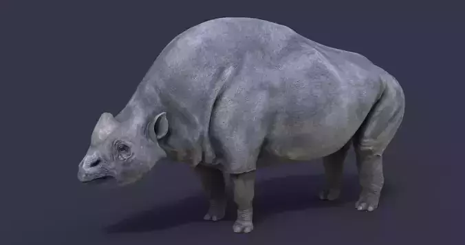 Elasmotherium rhinoceros