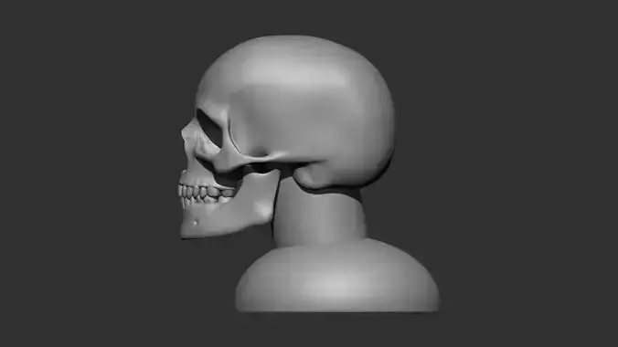 skull 3d print