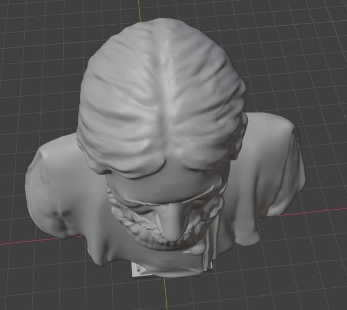 Rasputin bust 3D print model_19