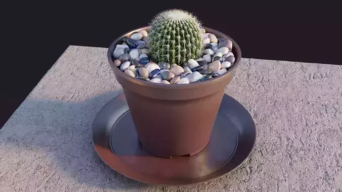 Cactus for computer desk