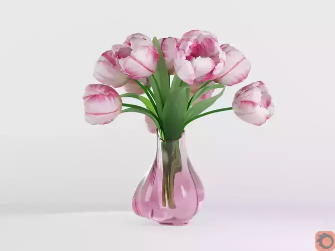 Pink Tulips