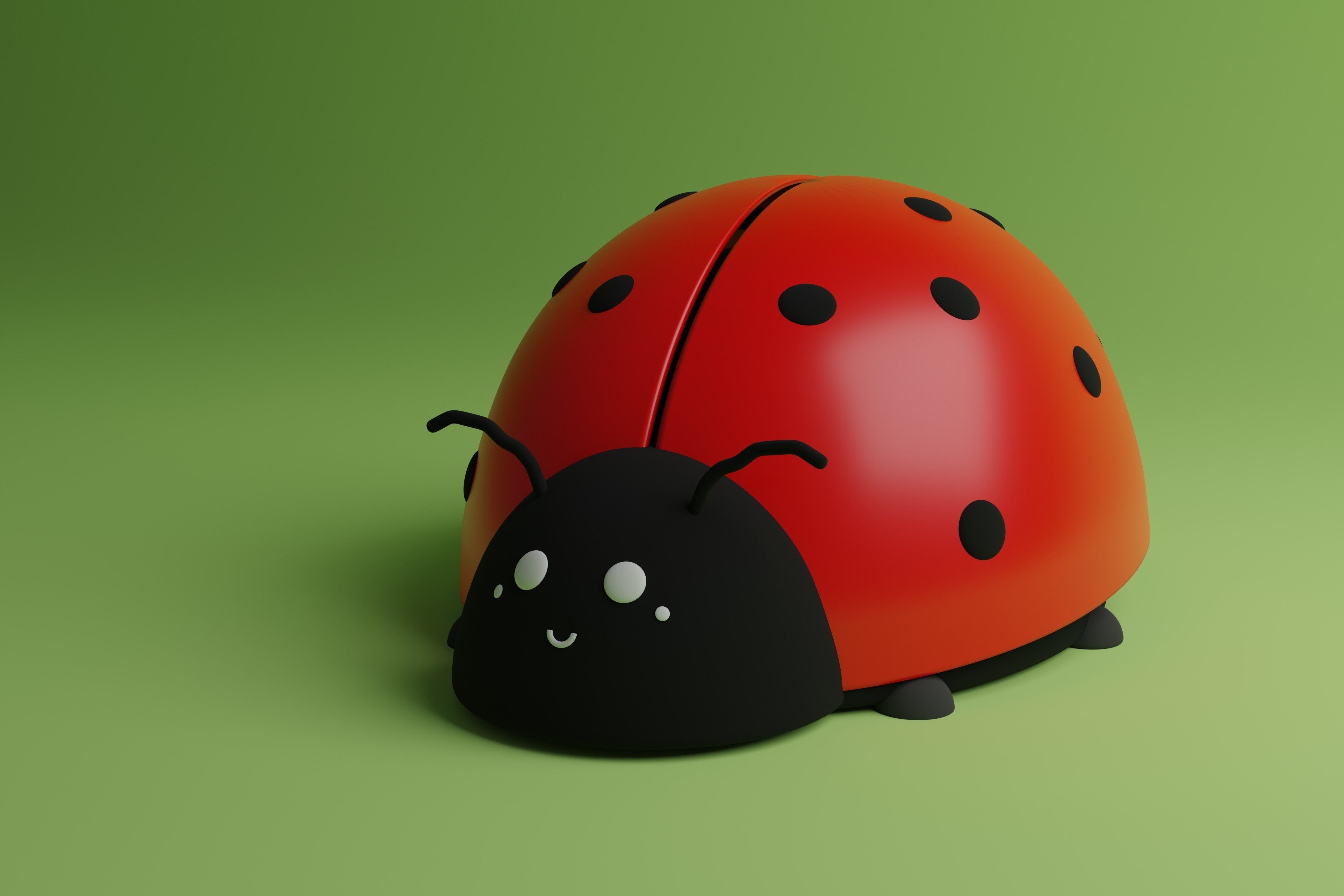 Ladybug 3D model_1